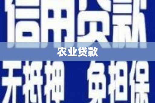 白银农业贷款