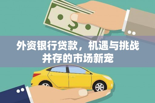 白银外资银行贷款，机遇与挑战并存的市场新宠