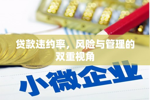 白银贷款违约率，风险与管理的双重视角
