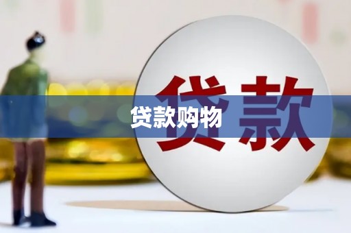 白银贷款购物