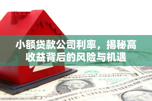 白银小额贷款公司利率，揭秘高收益背后的风险与机遇