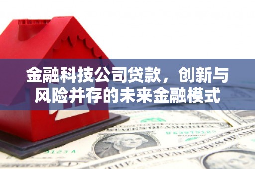 白银金融科技公司贷款，创新与风险并存的未来金融模式