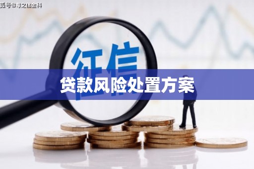 白银贷款风险处置方案