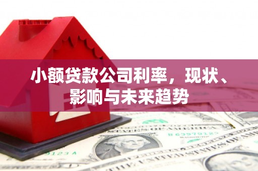 白银小额贷款公司利率，现状、影响与未来趋势