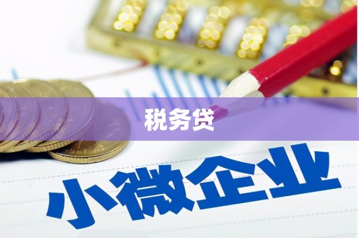 白银税务贷