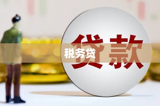 白银税务贷