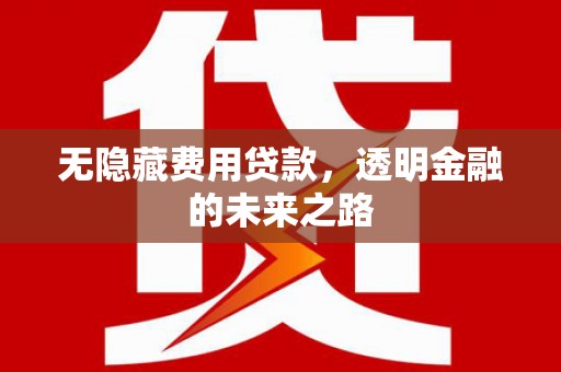 白银无隐藏费用贷款，透明金融的未来之路