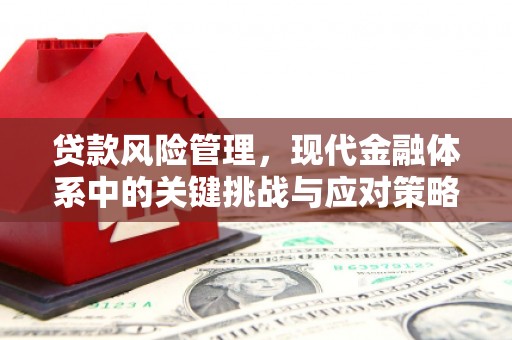 白银贷款风险管理，现代金融体系中的关键挑战与应对策略