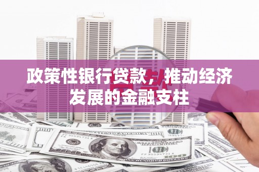 白银政策性银行贷款，推动经济发展的金融支柱