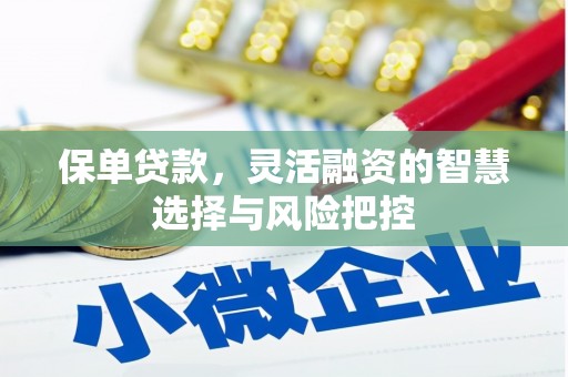 白银保单贷款，灵活融资的智慧选择与风险把控