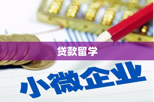 白银贷款留学