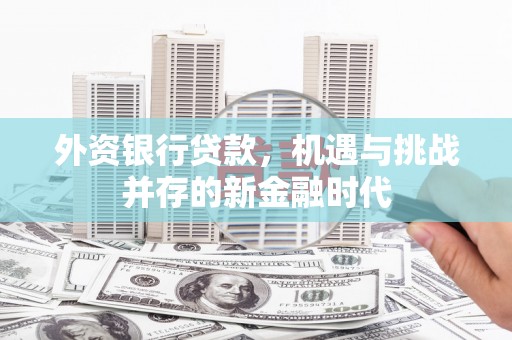 白银外资银行贷款，机遇与挑战并存的新金融时代