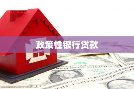 白银政策性银行贷款