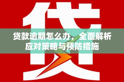 白银贷款逾期怎么办，全面解析应对策略与预防措施
