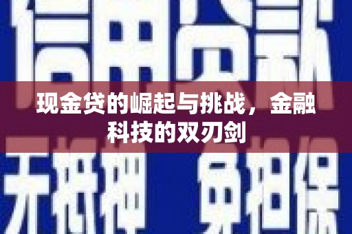 白银现金贷的崛起与挑战，金融科技的双刃剑