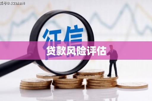 白银贷款风险评估