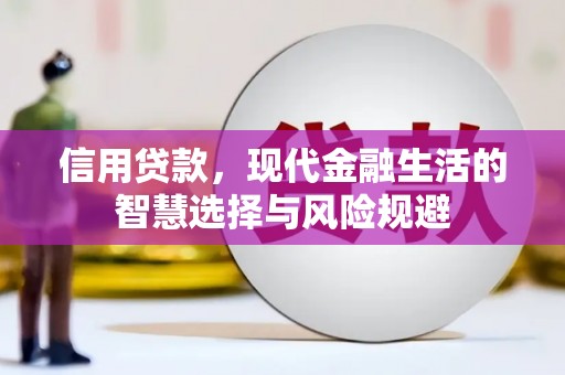 白银信用贷款，现代金融生活的智慧选择与风险规避