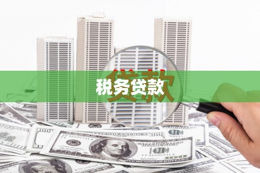白银税务贷款