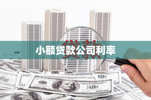 白银小额贷款公司利率