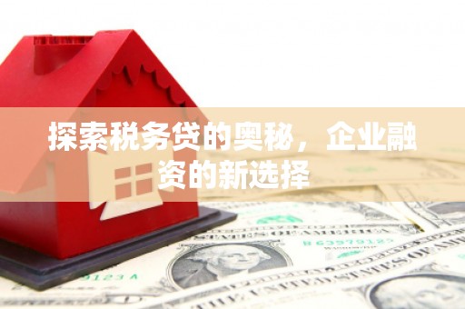 白银探索税务贷的奥秘，企业融资的新选择