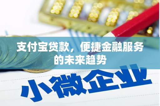 白银支付宝贷款，便捷金融服务的未来趋势