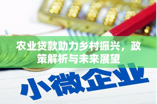白银农业贷款助力乡村振兴，政策解析与未来展望