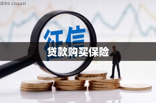 白银贷款购买保险