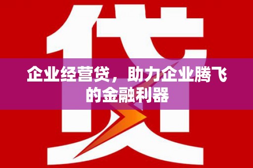 白银企业经营贷，助力企业腾飞的金融利器