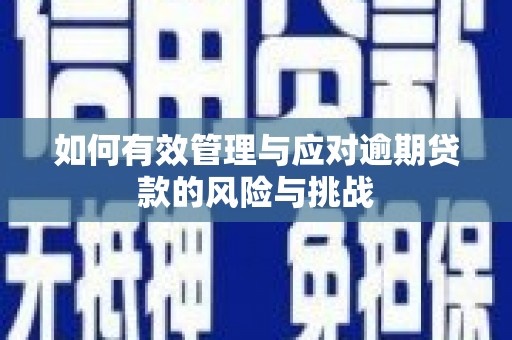 白银如何有效管理与应对逾期贷款的风险与挑战