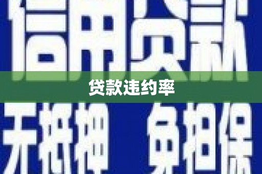 白银贷款违约率