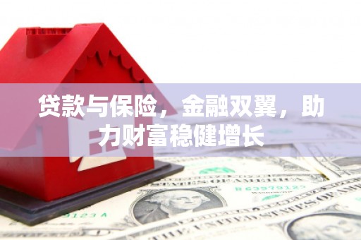 白银贷款与保险，金融双翼，助力财富稳健增长