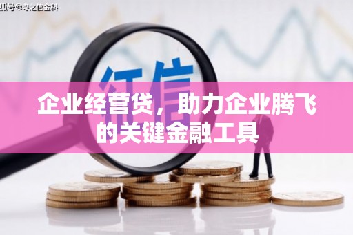白银企业经营贷，助力企业腾飞的关键金融工具