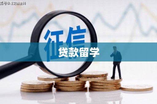 白银贷款留学