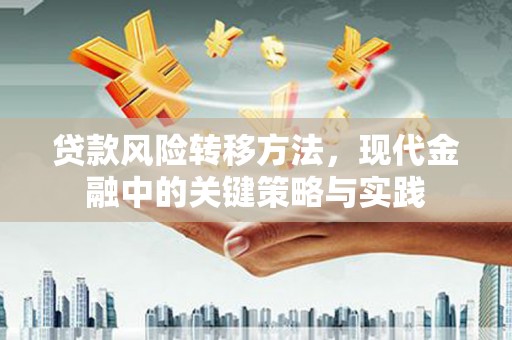 白银贷款风险转移方法，现代金融中的关键策略与实践