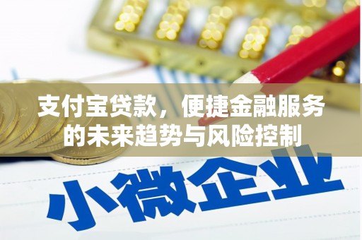 白银支付宝贷款，便捷金融服务的未来趋势与风险控制