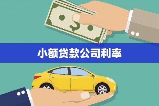 白银小额贷款公司利率