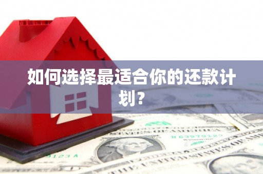白银如何选择最适合你的还款计划？