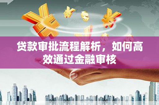 白银贷款审批流程解析，如何高效通过金融审核