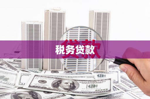 白银税务贷款