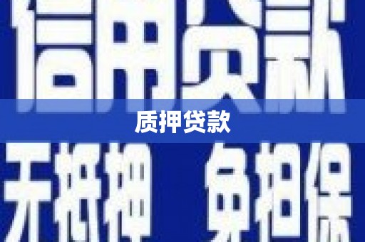 白银质押贷款