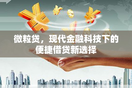 白银微粒贷，现代金融科技下的便捷借贷新选择