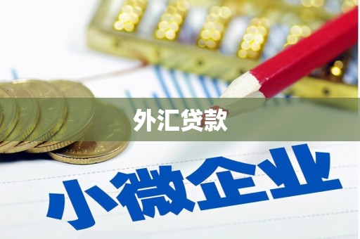 白银外汇贷款