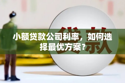 白银小额贷款公司利率，如何选择最优方案？