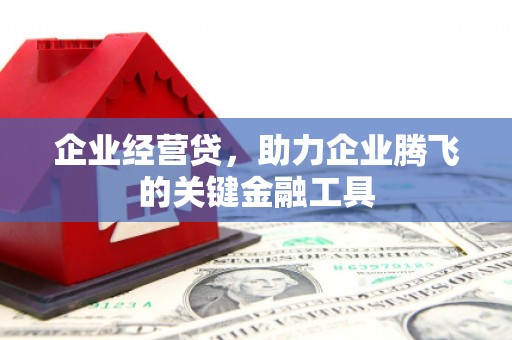 白银企业经营贷，助力企业腾飞的关键金融工具