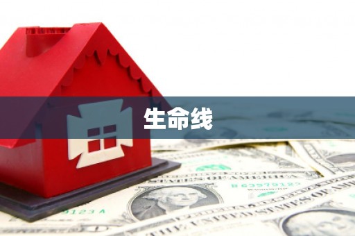 白银生命线