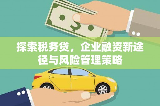 白银探索税务贷，企业融资新途径与风险管理策略