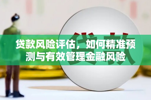 白银贷款风险评估，如何精准预测与有效管理金融风险