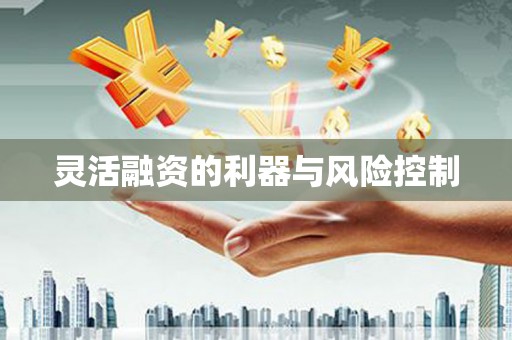 白银灵活融资的利器与风险控制