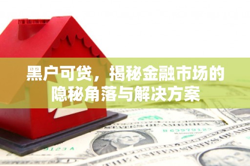白银黑户可贷，揭秘金融市场的隐秘角落与解决方案