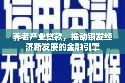 白银养老产业贷款，推动银发经济新发展的金融引擎